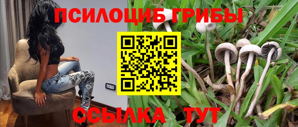 Псилоцибиновые грибы ЛСД Волгоград