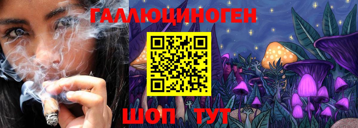 Волгоград  Псилоцибиновые грибы Psilocybe  Вход с VPN 